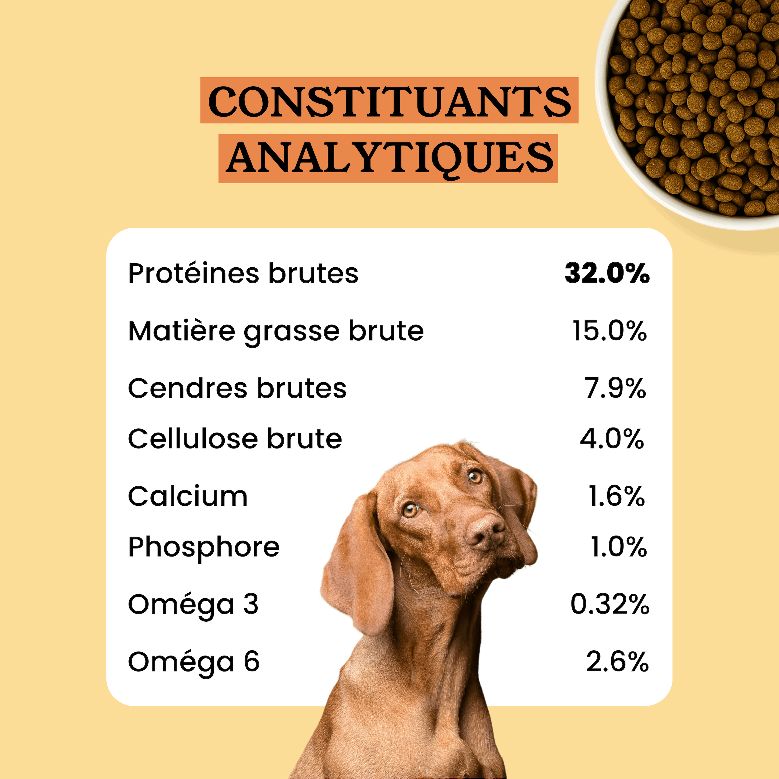Croquettes Chien Poulet Sans Céréales Ajoutées, Légumes Toutes Tailles
