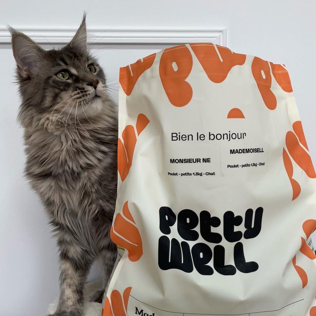 Notre recommandation : Croquettes Urinary Pour Chat - Système Urinaire Renforcé