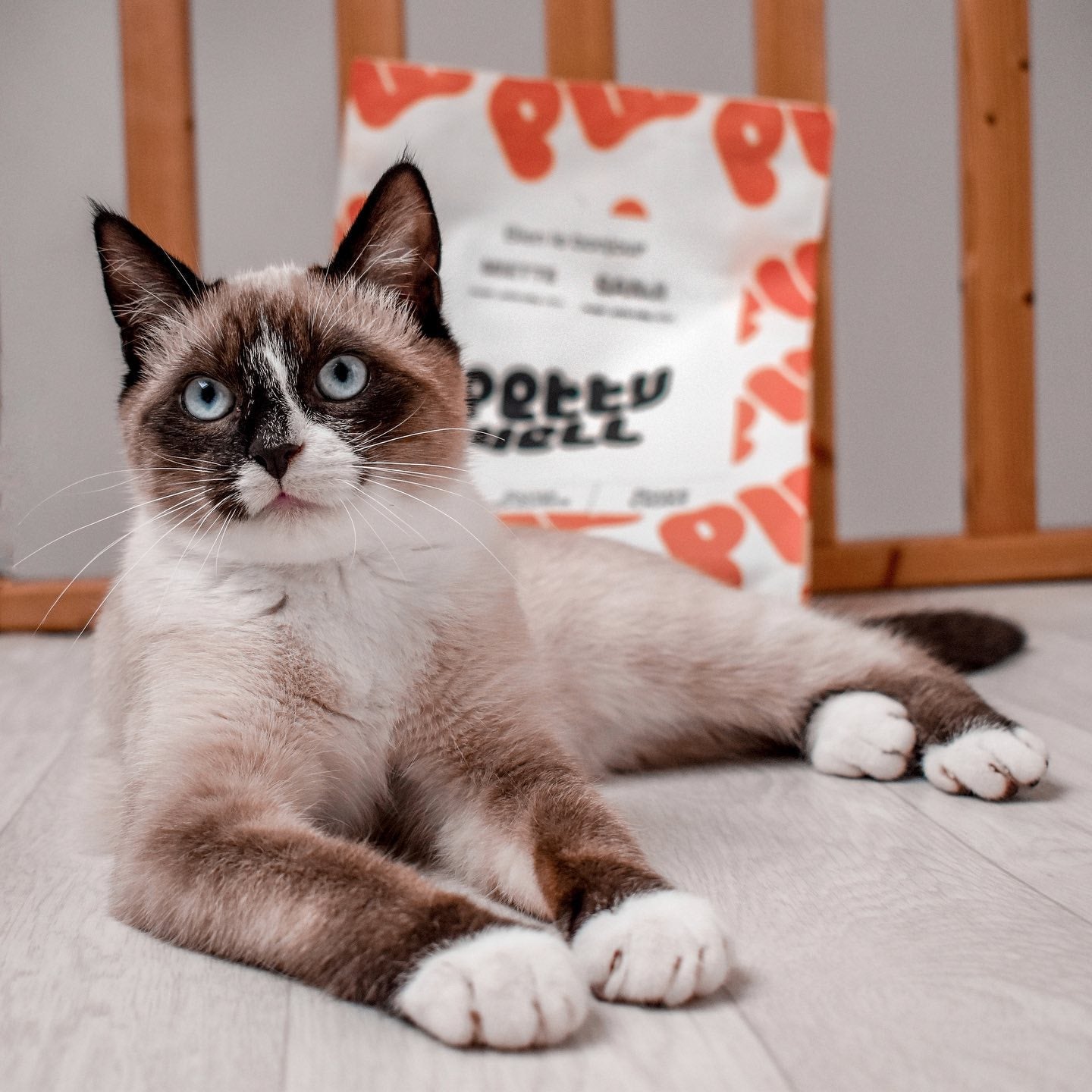 Notre recommandation : Croquettes Urinary Pour Chat - Système Urinaire Renforcé