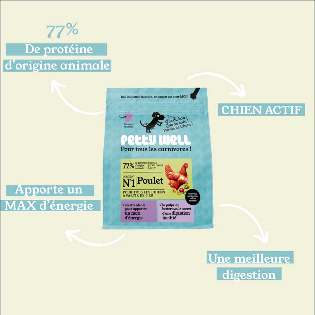 Croquettes Energie +  Chien Actif