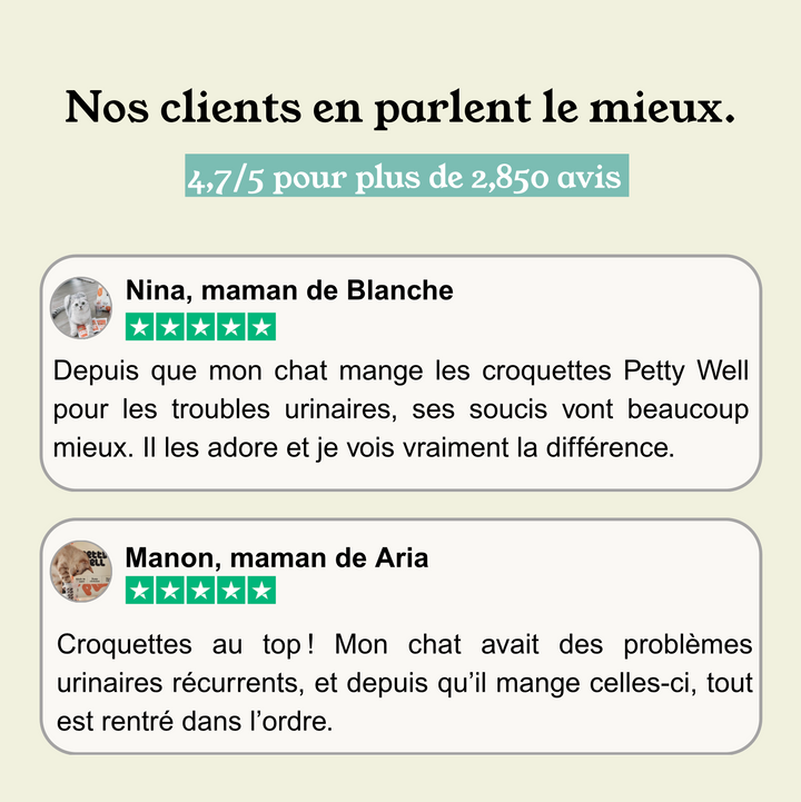 Croquettes Urinary Pour Chat - Système Urinaire Renforcé