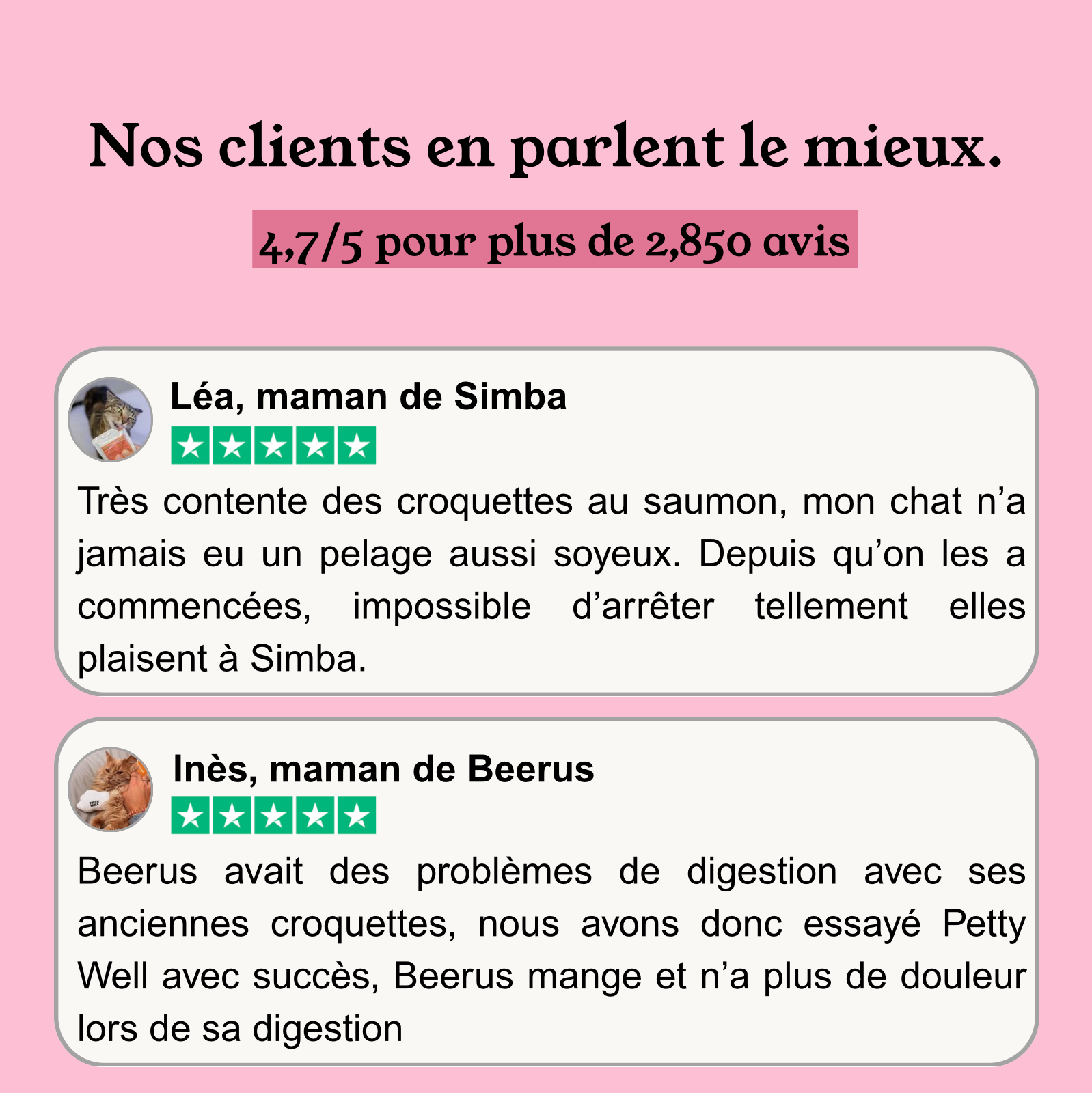 Notre recommandation : Croquettes Saumon Pour Chat Sans Céréales Ajoutées