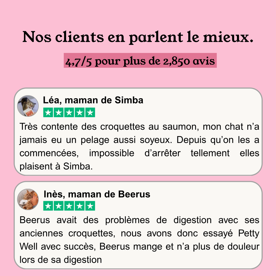 Croquettes Saumon  pour chat (Sans Céréales ajoutées)