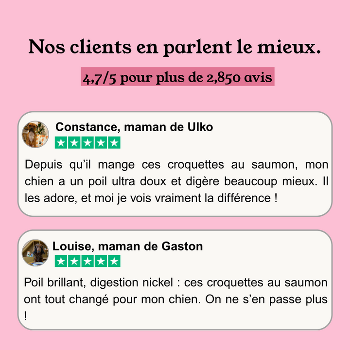 Croquettes Chien Sans Céréales Saumon & Thon - Chiot