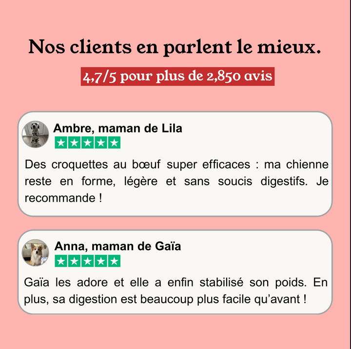 Croquettes Chien Adulte Boeuf, Volaille, Légumes (Chiens moyens et grands, dès 6kg)