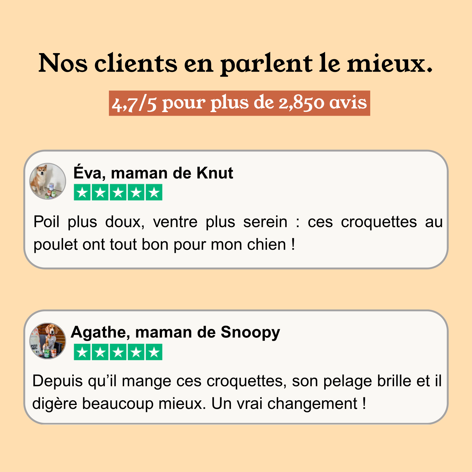 Croquettes Chien Poulet Sans Céréales Ajoutées, Légumes Toutes Tailles