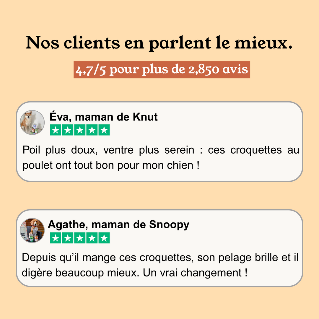 Croquettes Chiot Sans Céréales Poulet, Légumes