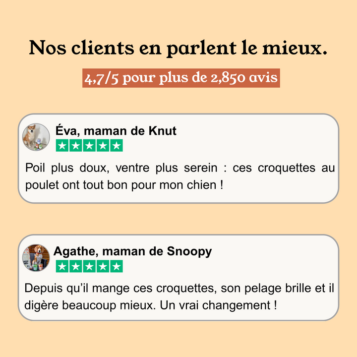 Croquettes Chiot Sans Céréales Poulet, Légumes
