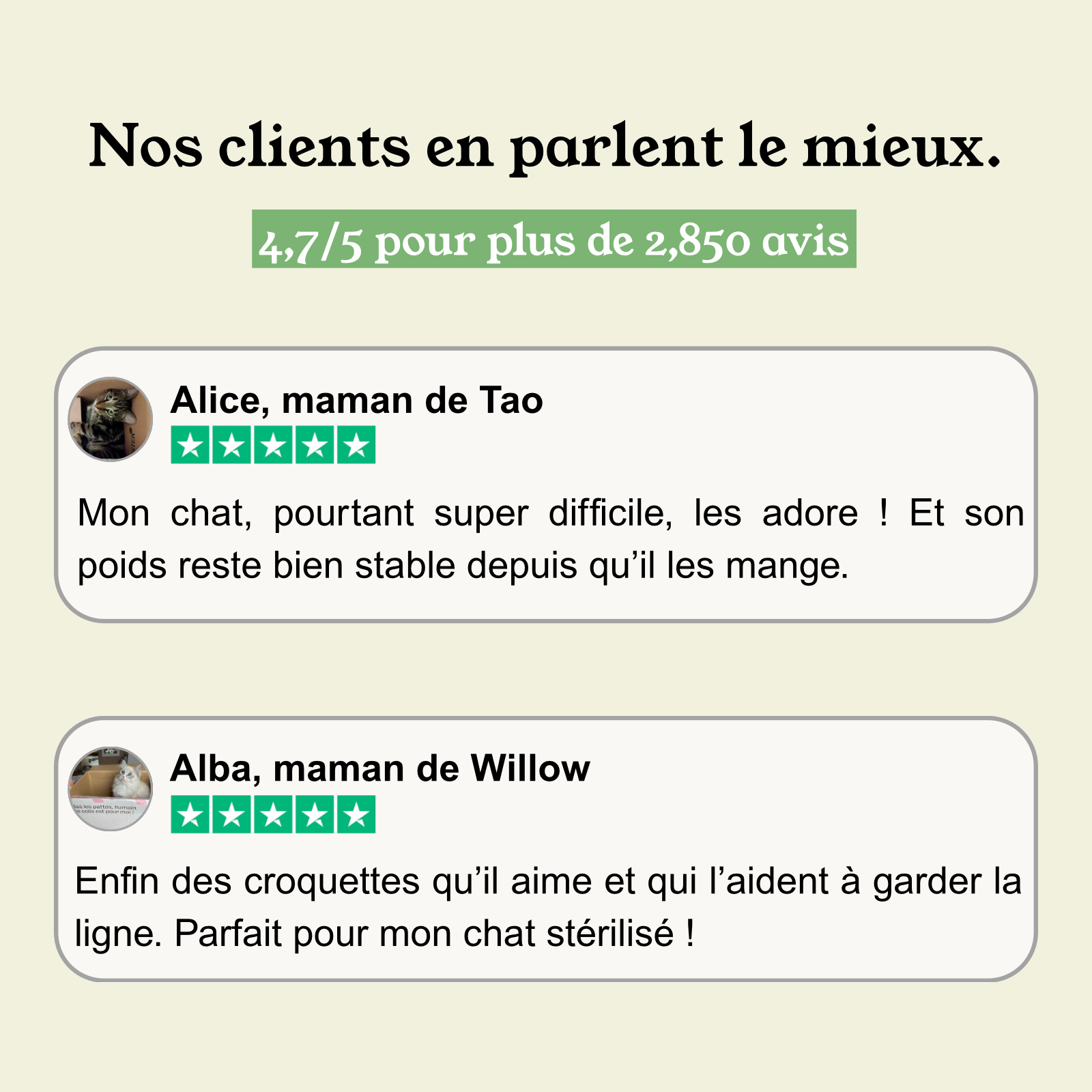 Notre recommandation : Croquettes Poulet Frais pour Chat