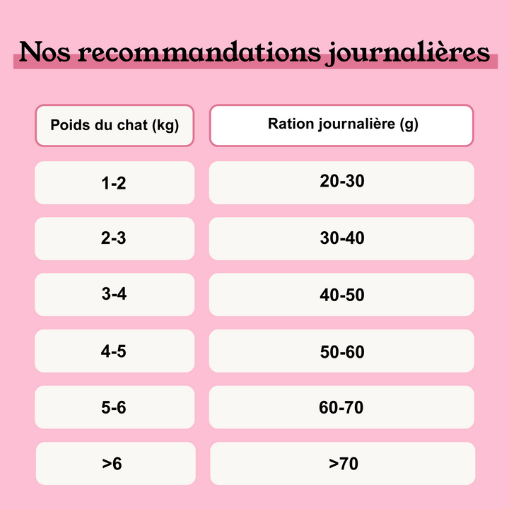 Croquettes Saumon  pour chat (Sans Céréales ajoutées)