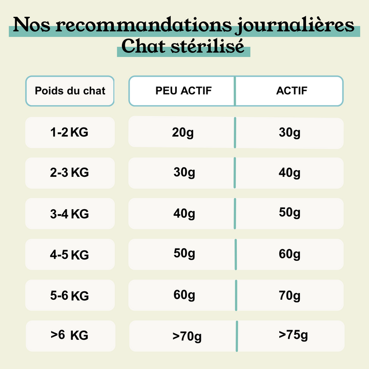Croquettes Urinary Pour Chat - Système Urinaire Renforcé