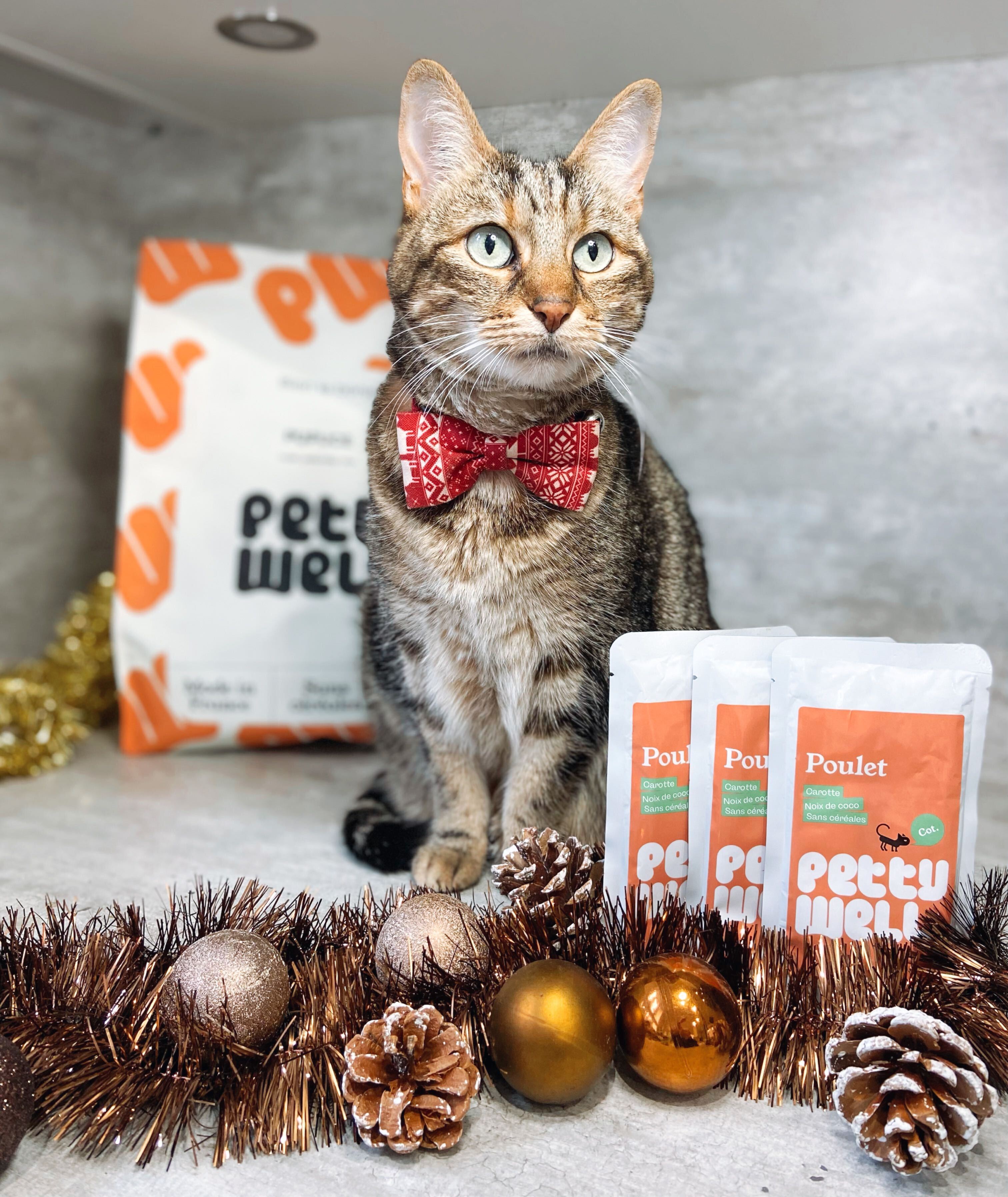 Coffret de Noël pour Chat - Croquettes & Pâtées